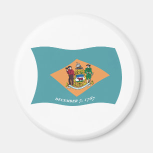 Delaware Flag Magnet
