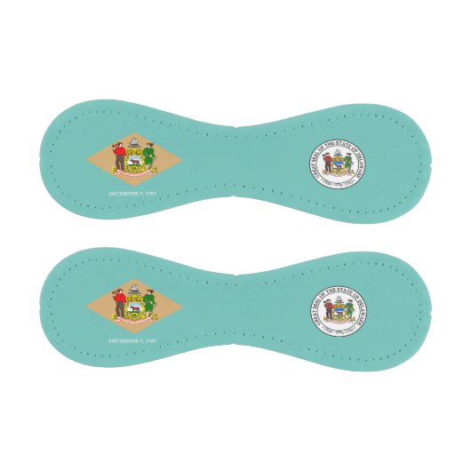 Delaware-Flagge Baseball (Paneele)