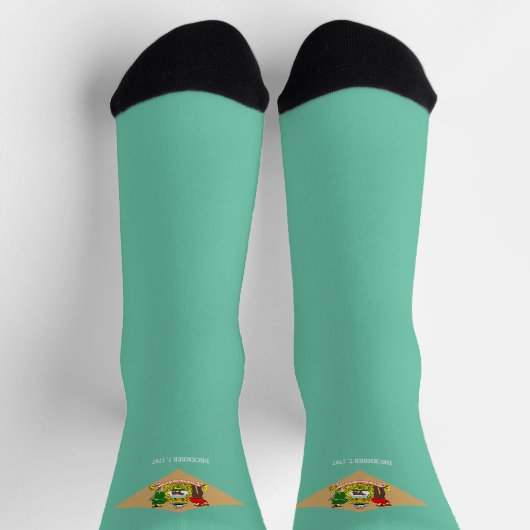 Delaware-Flagge Socken (Oben)