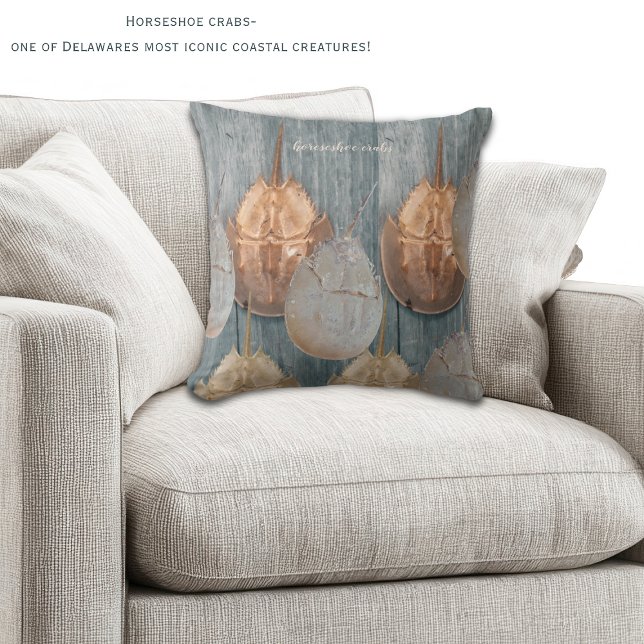 Delaware Horseshoe Crab Pillow – Coastal Decor Kissen (Horeshoe crabs are one of the most iconic coastal creatures in DE! Two sided decorative pillow!)