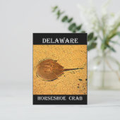 Delaware Horseshoe Crab Postkarte (Stehend Vorderseite)