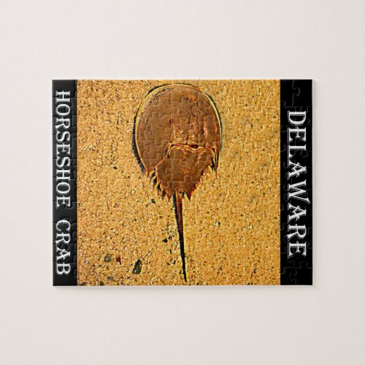 Delaware Horseshoe Crab Puzzle (Horizontal)