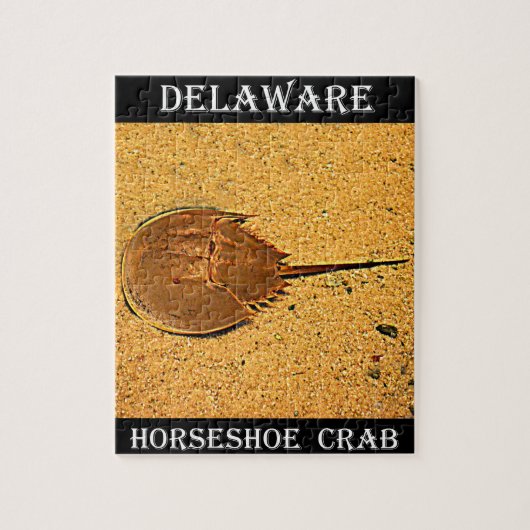 Delaware Horseshoe Crab Puzzle (Vertikal)