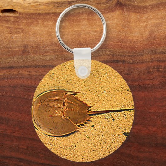 Delaware Horseshoe Crab Schlüsselanhänger (Vorderseite)