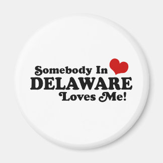 Delaware Magnet