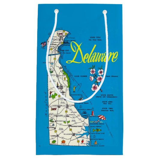 Delaware Map Small Gift Bag Kleine Geschenktüte (Vorderseite)