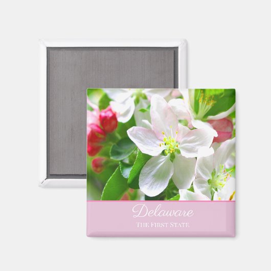 Delaware Peach Blossoms Erster Staat Magnet (Vorderseite/Rückseite)