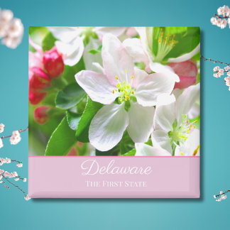 Delaware Peach Blossoms Erster Staat Magnet