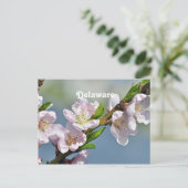 Delaware Postkarte (Stehend Vorderseite)