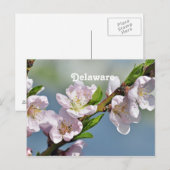 Delaware Postkarte (Vorne/Hinten)