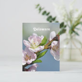 Delaware Postkarte (Stehend Vorderseite)