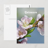 Delaware Postkarte (Vorne/Hinten)