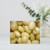 Delaware Potatoe Postkarte (Stehend Vorderseite)