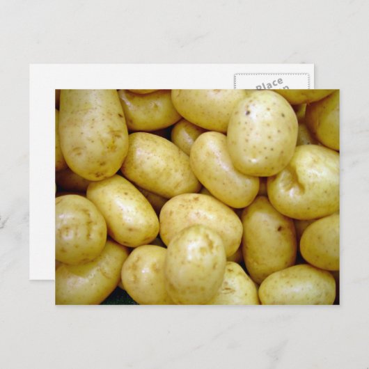 Delaware Potatoe Postkarte (Vorne/Hinten)