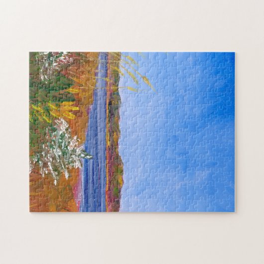 Delaware Puzzle (Horizontal)