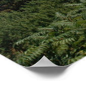 Delaware River Water Gap. print 0057 Poster (Ecke)