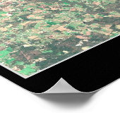 Delaware Seashore Satellitenposter Poster (Ecke)