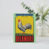 Delaware Staat Bird Postcard Postkarte (Stehend Vorderseite)