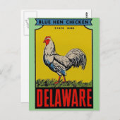Delaware Staat Bird Postcard Postkarte (Vorne/Hinten)