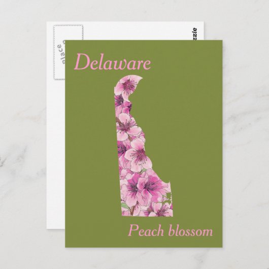 Delaware Staat Blume Collage Map Postkarte (Vorne/Hinten)