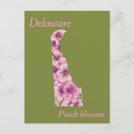 Delaware Staat Blume Collage Map Postkarte