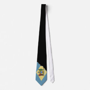 Delaware-Staats-Flagge Krawatte