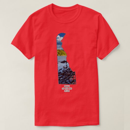 Delaware USA T-Shirt (Design vorne)