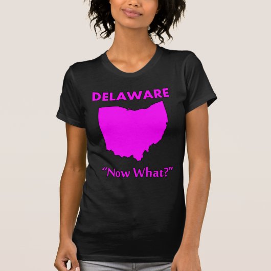 Delaware - Was nun? T-Shirt (Vorderseite)