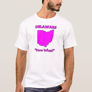 Delaware - Was nun? T-Shirt