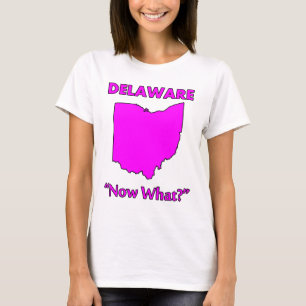 Delaware - Was nun? T-Shirt
