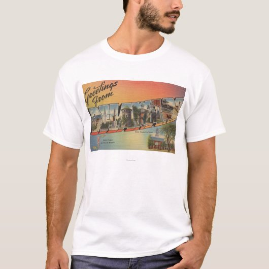 DelawareLarge Buchstabe ScenesDelaware T-Shirt (Vorderseite)