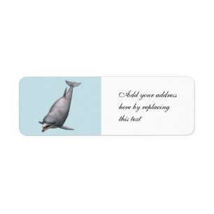 Delfin