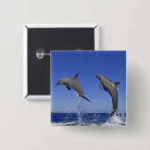 Delfin 2 button (Vorne & Hinten)