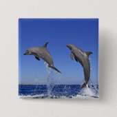 Delfin 2 button (Vorderseite)