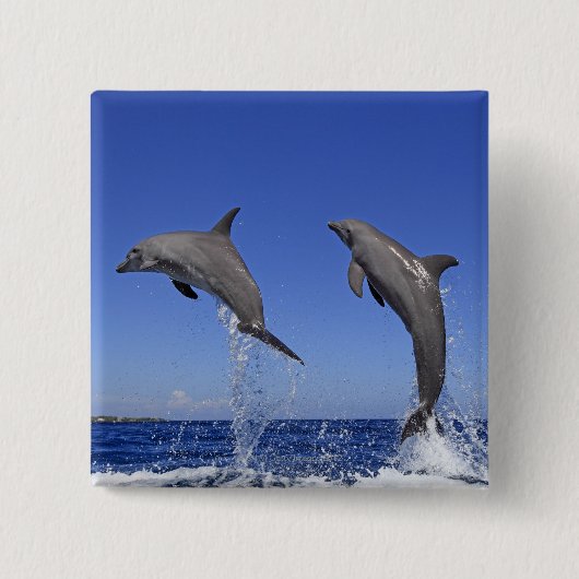 Delfin 2 button (Vorderseite)