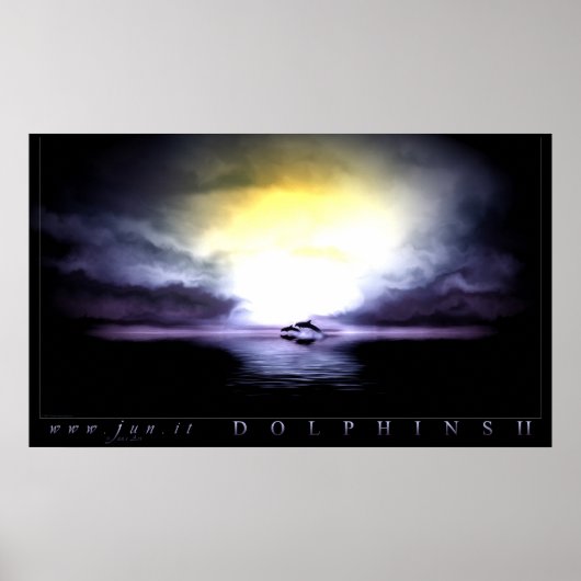 Delfin 2 poster (Vorne)