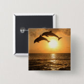 Delfin 3 button (Vorne & Hinten)