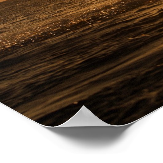 Delfin 3 poster (Ecke)