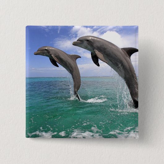 Delfin Button (Vorderseite)