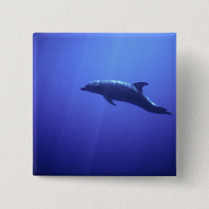 Delfin Button