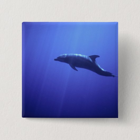 Delfin Button (Vorderseite)