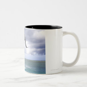 Delfin, Dauphin, groberes Tuemmler, Tursiops 2 Zweifarbige Tasse