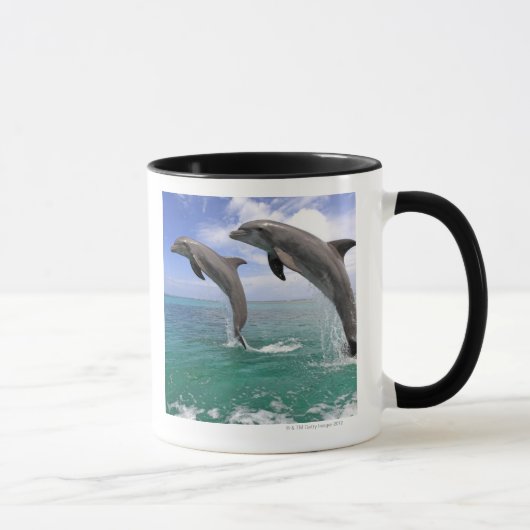 Delfin, Dauphin, groberes Tuemmler, Tursiops 4 Tasse (Rechts)
