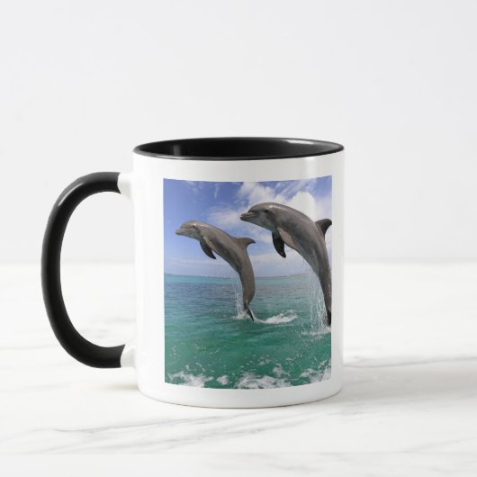 Delfin, Dauphin, groberes Tuemmler, Tursiops 4 Tasse (Links)