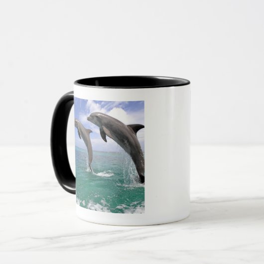 Delfin, Dauphin, groberes Tuemmler, Tursiops 4 Tasse (Vorderseite Links)