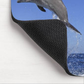 Delfin, Delphin, Grosser Tuemmler, Tursiops 3 Mousepad (Ecke)