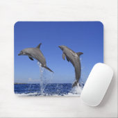 Delfin, Delphin, Grosser Tuemmler, Tursiops 3 Mousepad (Mit Mouse)