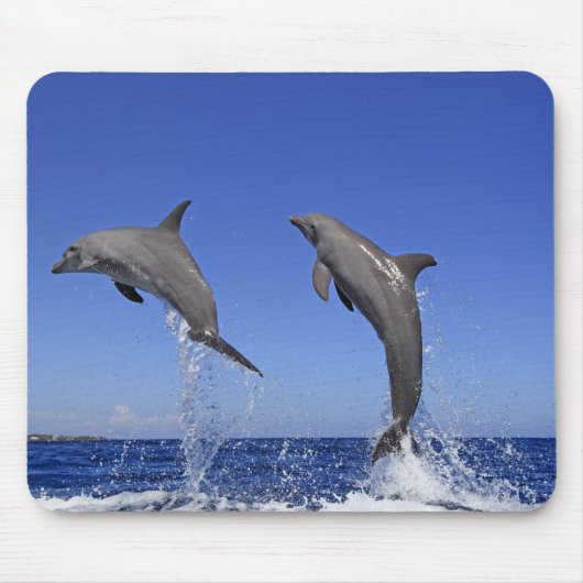 Delfin, Delphin, Grosser Tuemmler, Tursiops 3 Mousepad (Vorne)
