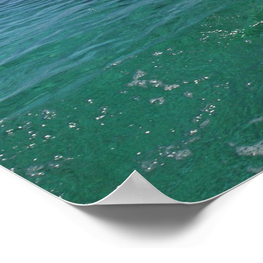 Delfin,Delphin,Grosser Tuemmler,Tursiops 4 Poster (Ecke)