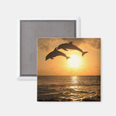 Delfin, Delphin, Großer Tuemmler, Tursiops Magnet (Vorderseite/Rückseite)